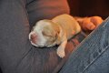Afb_20121123_Benny (5)
